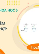 Thí nghiệm tạo hỗn hợp - Khoa học 5  -  Hoc10